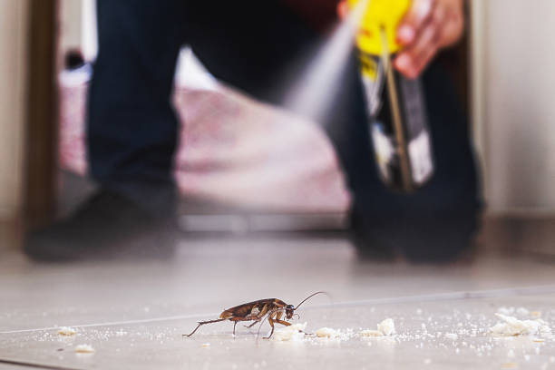 Pest Prevention Services in Altamont, OR